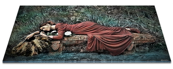 impression-photo-Tirage-sous-Plexiglas-the-little-boutique